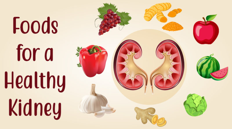 foods Kidney
